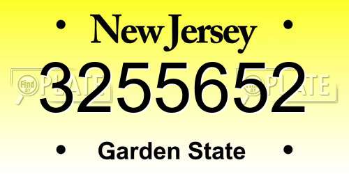 3255652 New Jersey License Plate