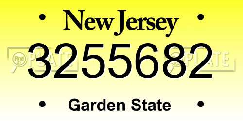 3255682 New Jersey License Plate