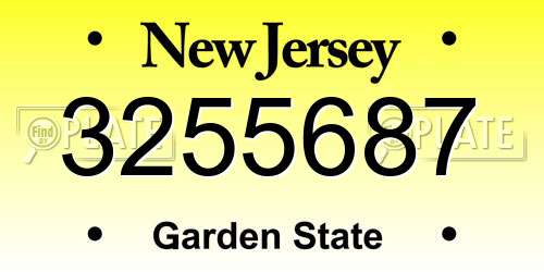 3255687 New Jersey License Plate