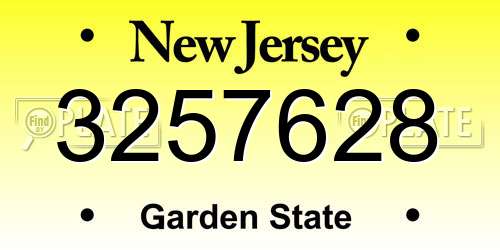 3257628 New Jersey License Plate