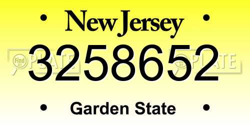 3258652 New Jersey License Plate
