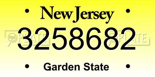 3258682 New Jersey License Plate