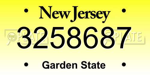 3258687 New Jersey License Plate