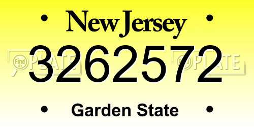 3262572 New Jersey License Plate