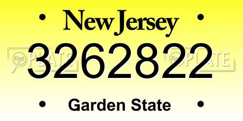3262822 New Jersey License Plate