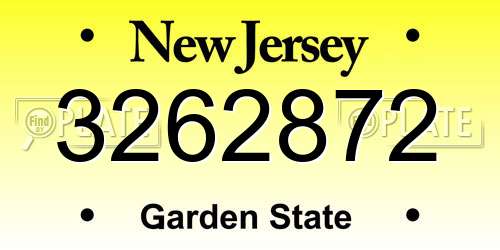 3262872 New Jersey License Plate
