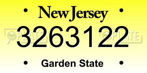 3263122 New Jersey License Plate