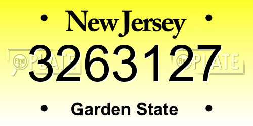 3263127 New Jersey License Plate