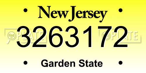 3263172 New Jersey License Plate