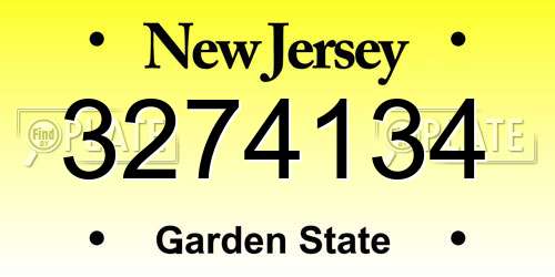 3274134 New Jersey License Plate