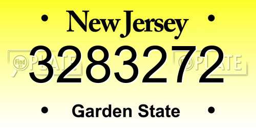 3283272 New Jersey License Plate