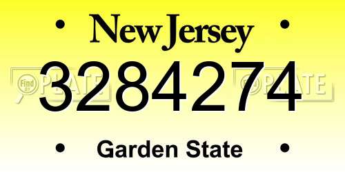 3284274 New Jersey License Plate