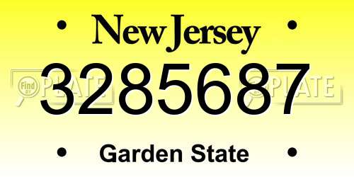 3285687 New Jersey License Plate