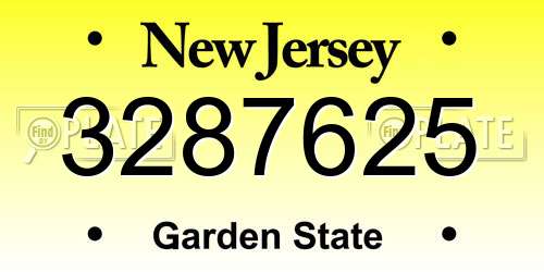 3287625 New Jersey License Plate