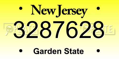 3287628 New Jersey License Plate