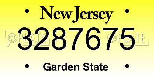 3287675 New Jersey License Plate
