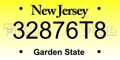 32876T8 New Jersey License Plate