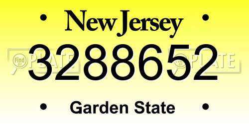 3288652 New Jersey License Plate