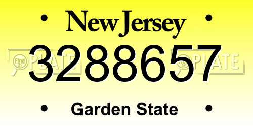 3288657 New Jersey License Plate