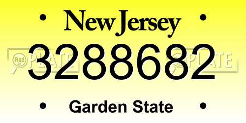 3288682 New Jersey License Plate
