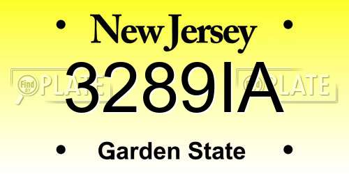 3289IA New Jersey License Plate