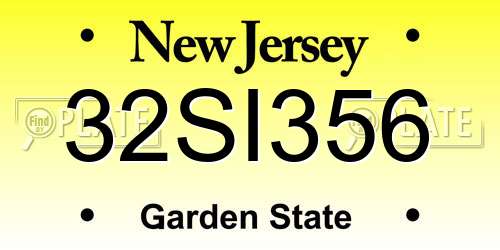 32SI356 New Jersey License Plate