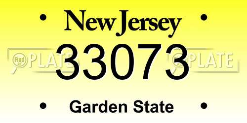 33073 New Jersey License Plate