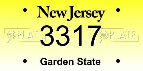 3317 New Jersey License Plate