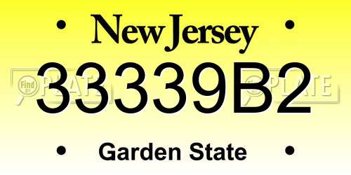33339B2 New Jersey License Plate