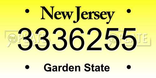 3336255 New Jersey License Plate
