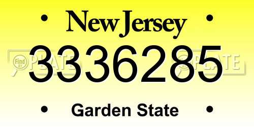 3336285 New Jersey License Plate