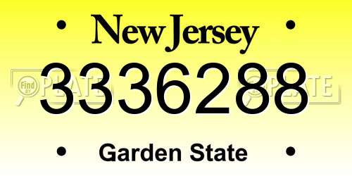 3336288 New Jersey License Plate
