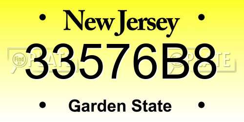 33576B8 New Jersey License Plate