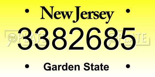 3382685 New Jersey License Plate