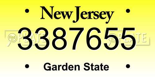 3387655 New Jersey License Plate