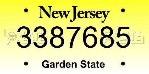 3387685 New Jersey License Plate