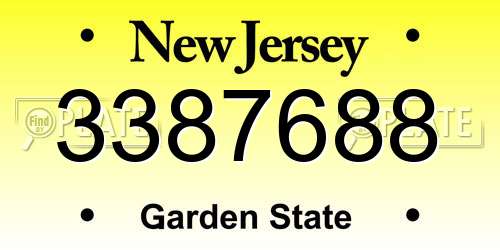 3387688 New Jersey License Plate