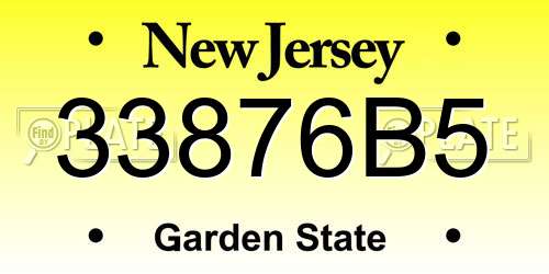 33876B5 New Jersey License Plate