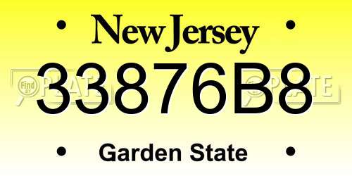 33876B8 New Jersey License Plate