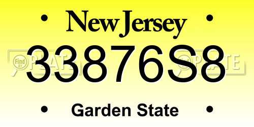 33876S8 New Jersey License Plate