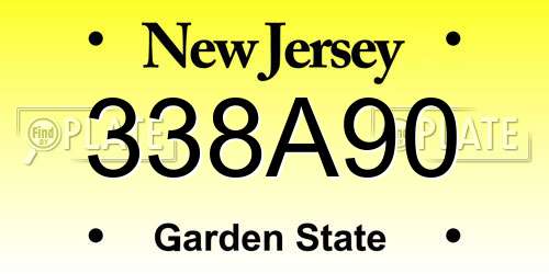 338A90 New Jersey License Plate