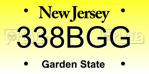 338BGG New Jersey License Plate