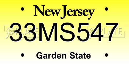 33MS547 New Jersey License Plate