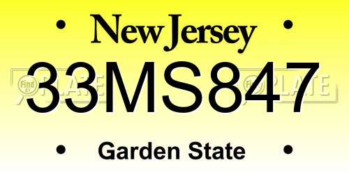 33MS847 New Jersey License Plate