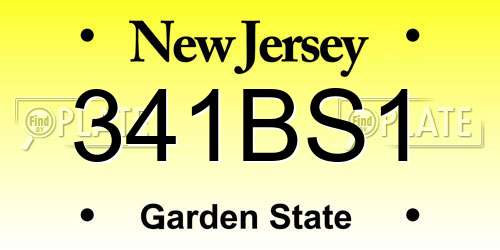 341BS1 New Jersey License Plate