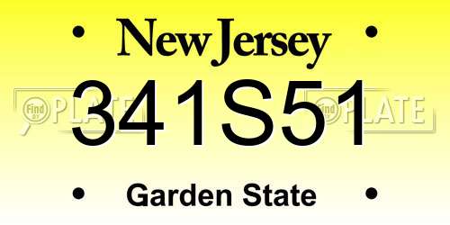 341S51 New Jersey License Plate