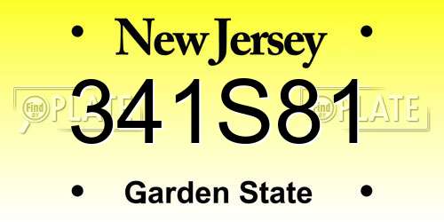 341S81 New Jersey License Plate