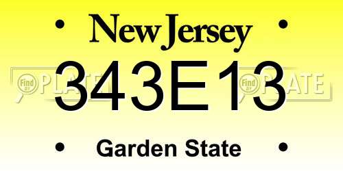 343E13 New Jersey License Plate