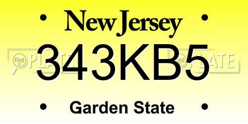 343KB5 New Jersey License Plate
