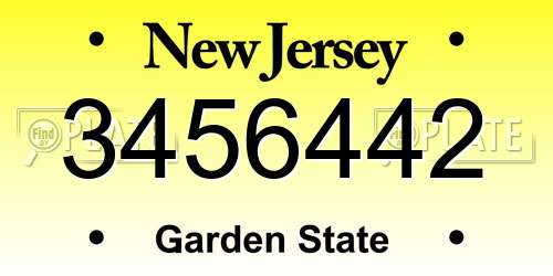 3456442 New Jersey License Plate